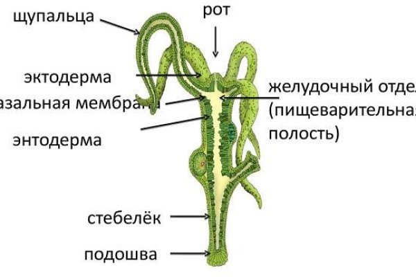 Тор браузер кракен